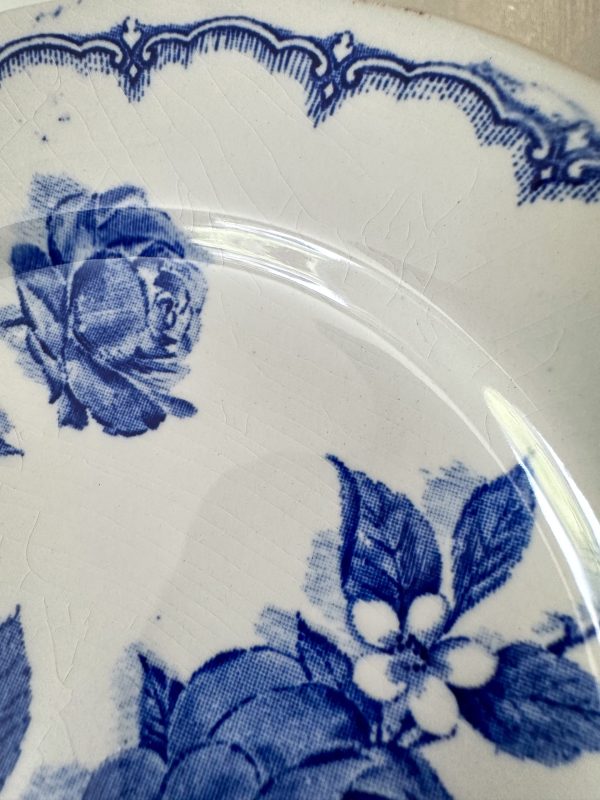 Broadhurst Staffordshire- Victoria assiett - Bild 4