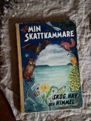 Min skattkammare - Del 7 Skog, hav & himmel