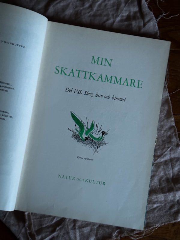 Min skattkammare - Del 7 Skog, hav & himmel - Bild 2