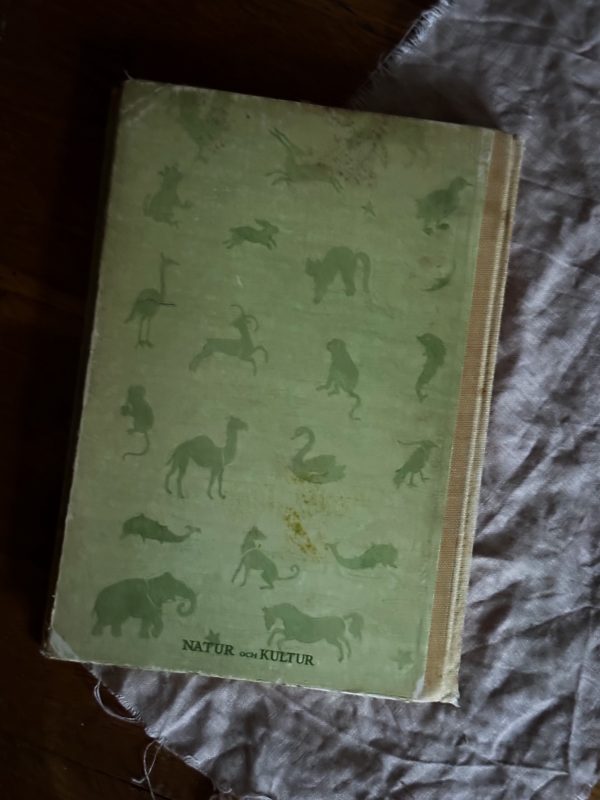 Min skattkammare - Del 5 Noaks ark - Bild 3