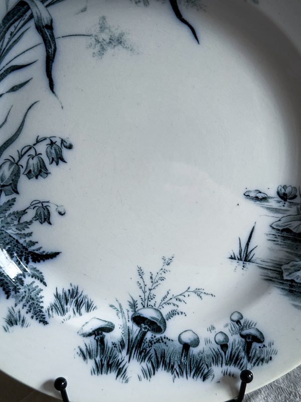 Villeroy & Boch - Alaska Mattallrik 2 st - Bild 10
