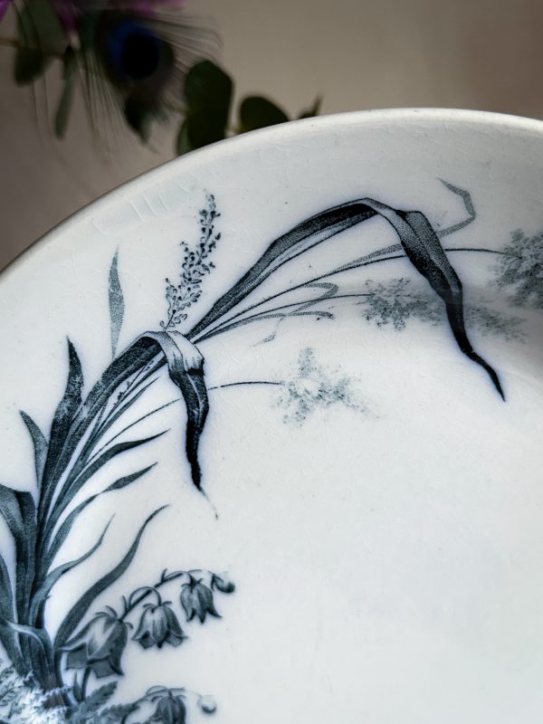 Villeroy & Boch - Alaska Mattallrik 2 st - Bild 11