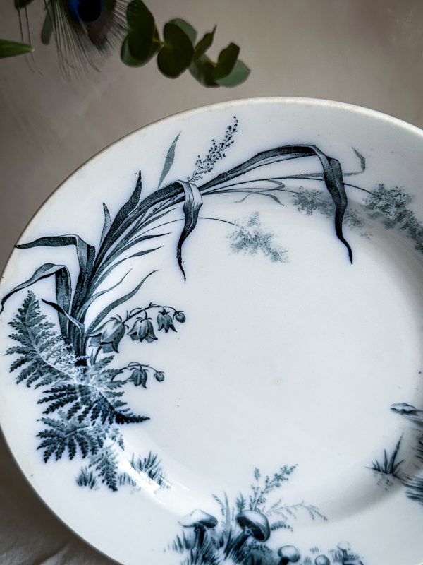 Villeroy & Boch - Alaska Mattallrik 2 st - Bild 3