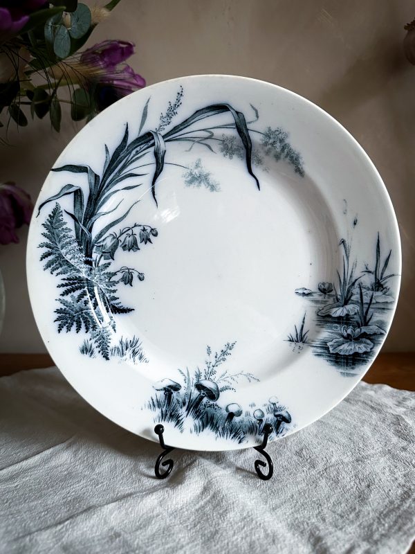Villeroy & Boch - Alaska Mattallrik 2 st - Bild 4