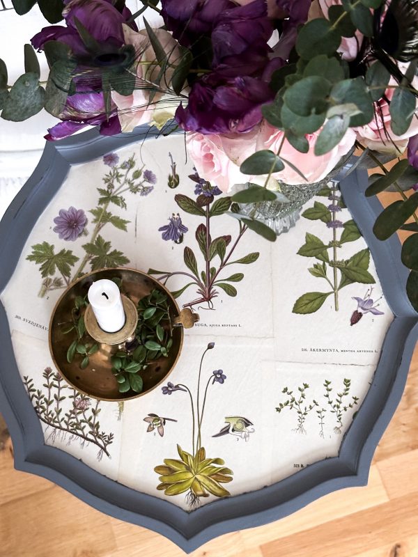 Pelarbord med Nordens Flora - Bild 10