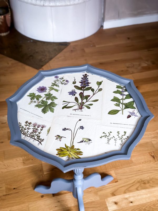 Pelarbord med Nordens Flora - Bild 11