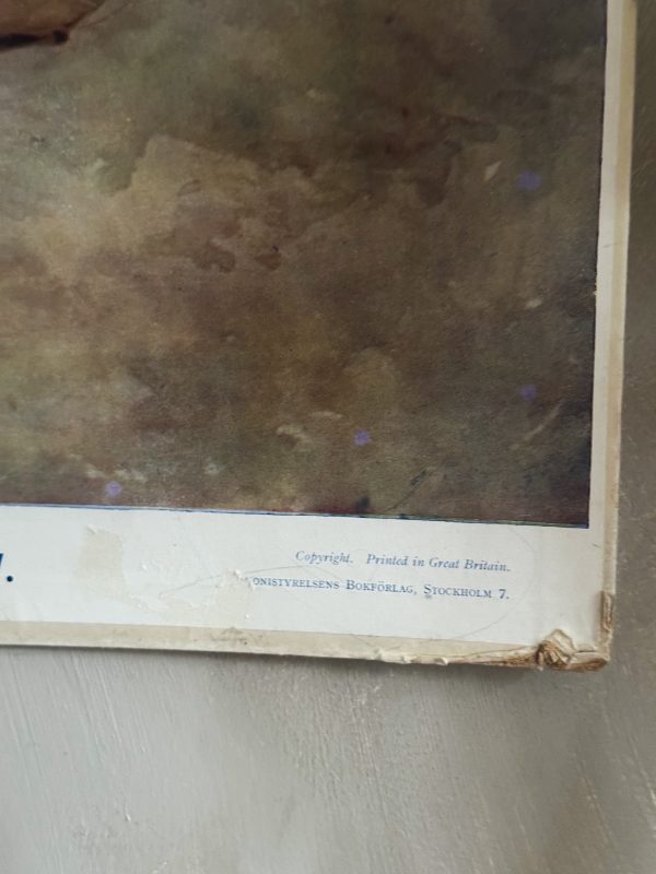 Skolplansch - Jakobs dröm 50*74 - Bild 6
