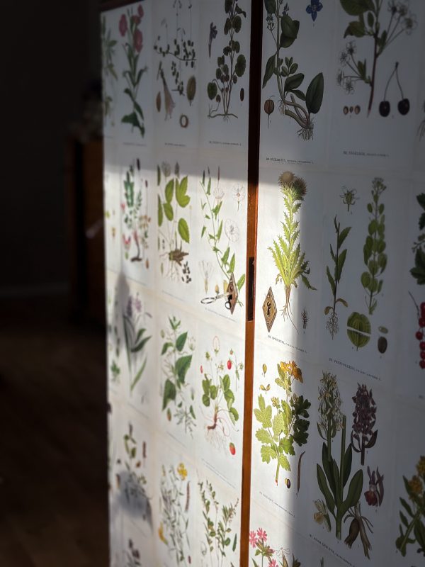 Ek Skåp, Tapetserad i Lindman - Nordens Flora. - Bild 10