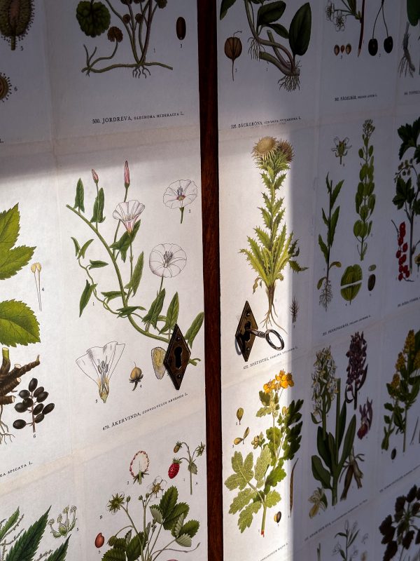 Ek Skåp, Tapetserad i Lindman - Nordens Flora. - Bild 9