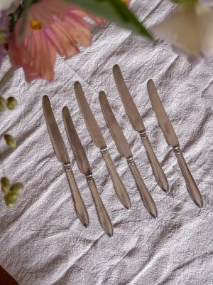 Fruktknivar 6 st nysilver