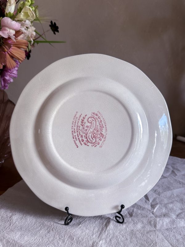 Enoch Wedgwood - Asiatic Pheasants Rosa Mattallrik - Bild 13