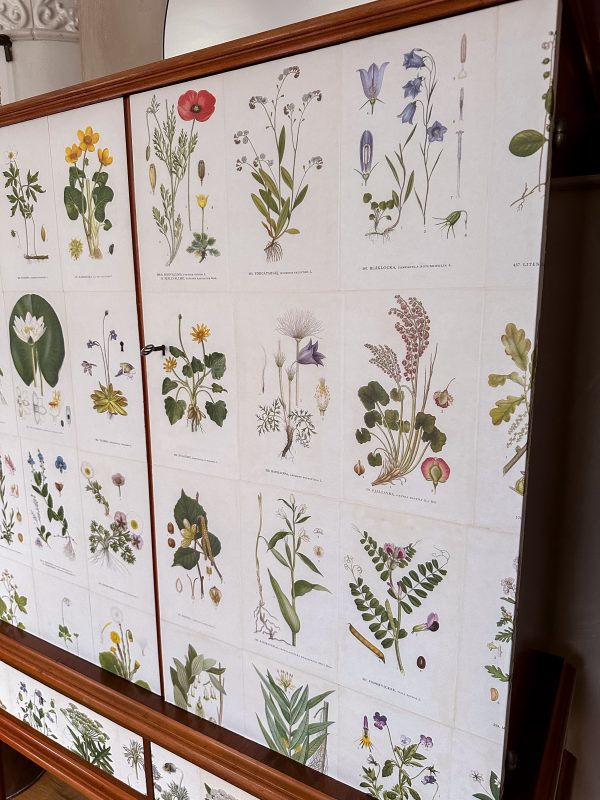 Linneskåp 40 tal, tapetserat i Nordens Flora - Bild 14