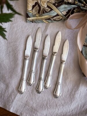 'Eva' Fruktknivar nysilver 5 st
