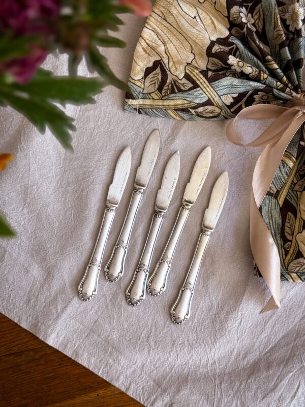 'Eva' Fruktknivar nysilver 5 st - Bild 2