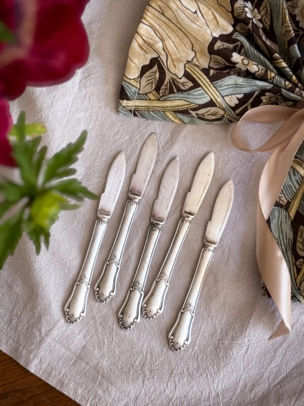 'Eva' Fruktknivar nysilver 5 st - Bild 3